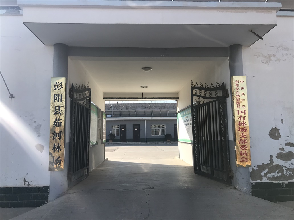 彭陽縣林業(yè)局森林防火監(jiān)測預警系統(tǒng)